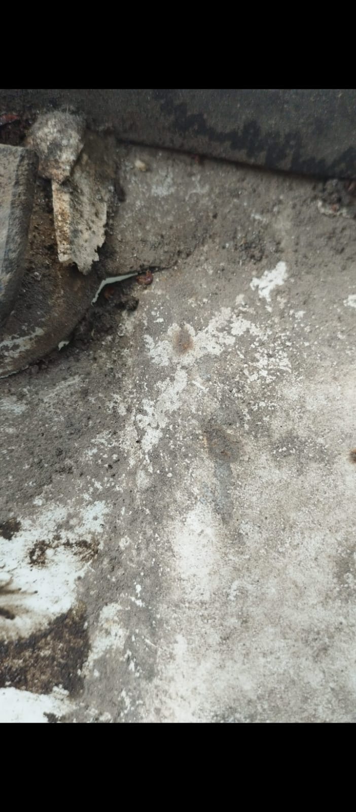 gezen-karavan (102) gezen-karavan (102)